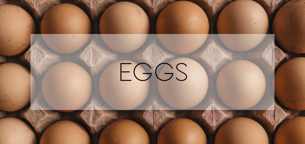 eggs