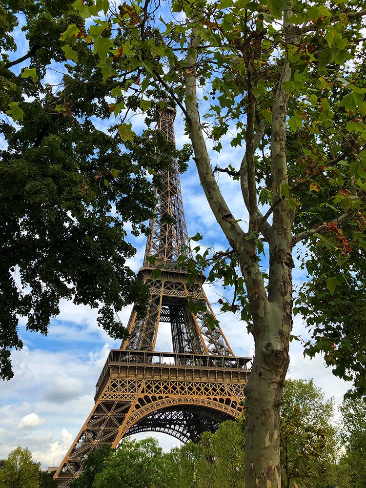 Eiffel Tower