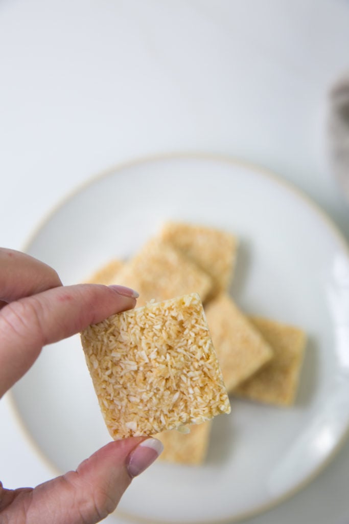 toasted coconut oil fat bombs