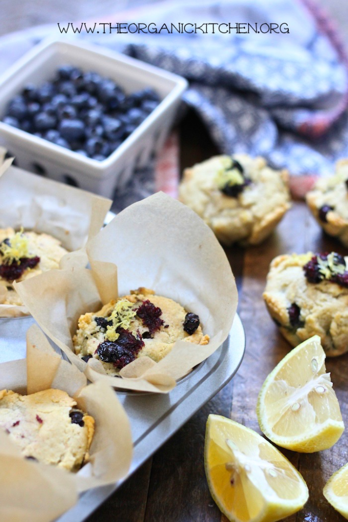 low carb fruit recipes