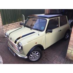 Rover Mini Rio 1275cc