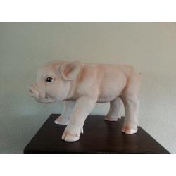 Pig Figure