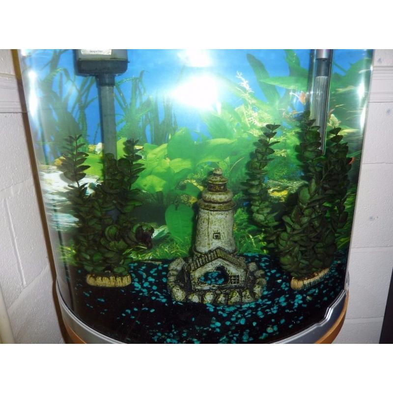 AQUARIUM PLUS CABINET