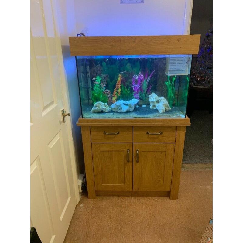 Fish tank and stand