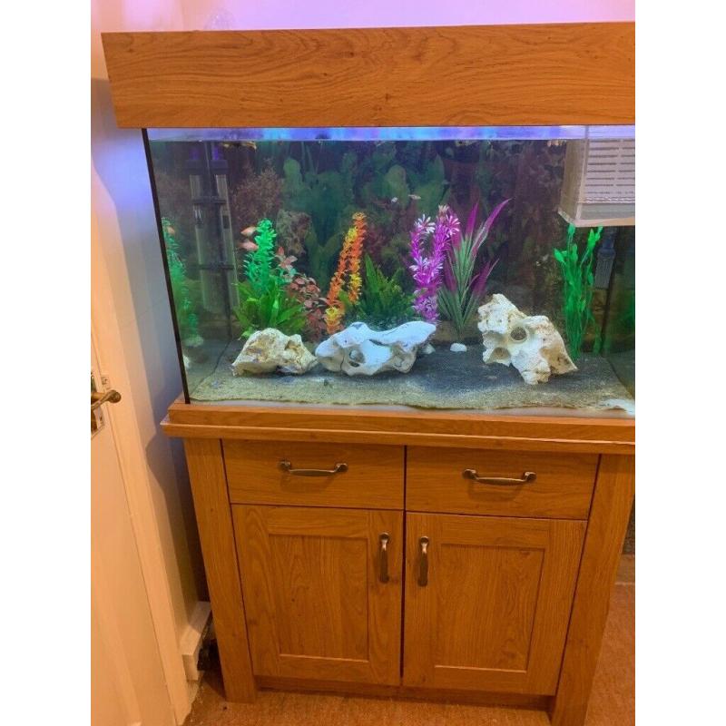 Fish tank and stand