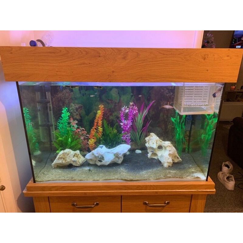 Fish tank and stand