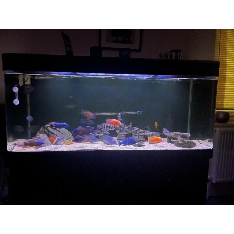 Malawi tank