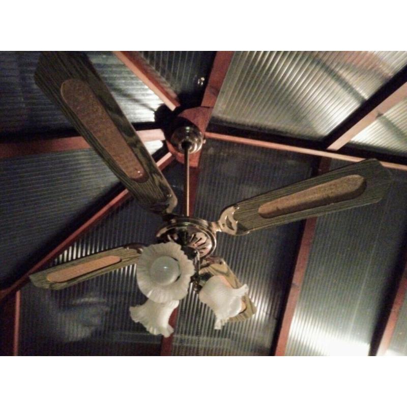 Ceiling fan with three lights